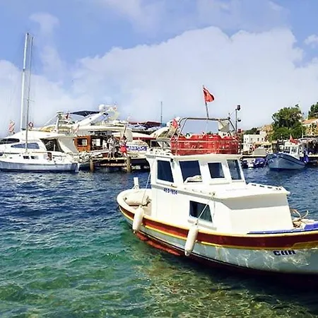 Sfv Seaview Triplex ヴィラ *